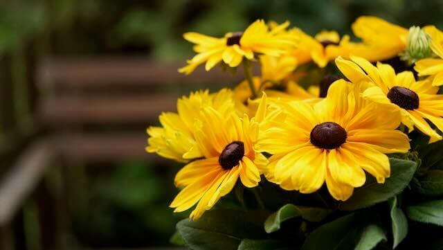 Wörterbuch der  Ostfriesischen Landschaft 